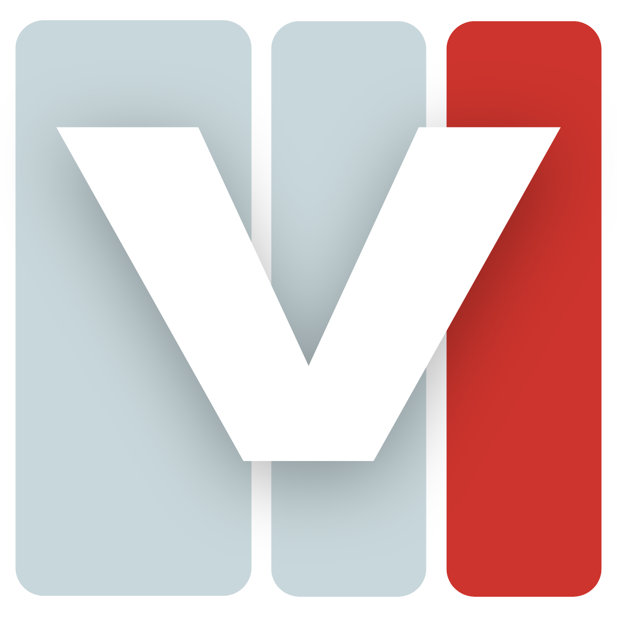 VITA Software Development